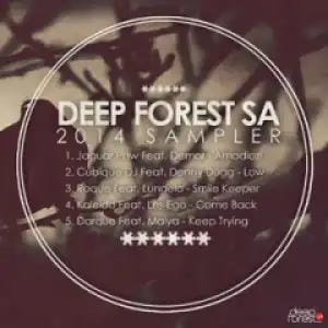 Kaleido - Come Back (Original Mix) ft Lesego